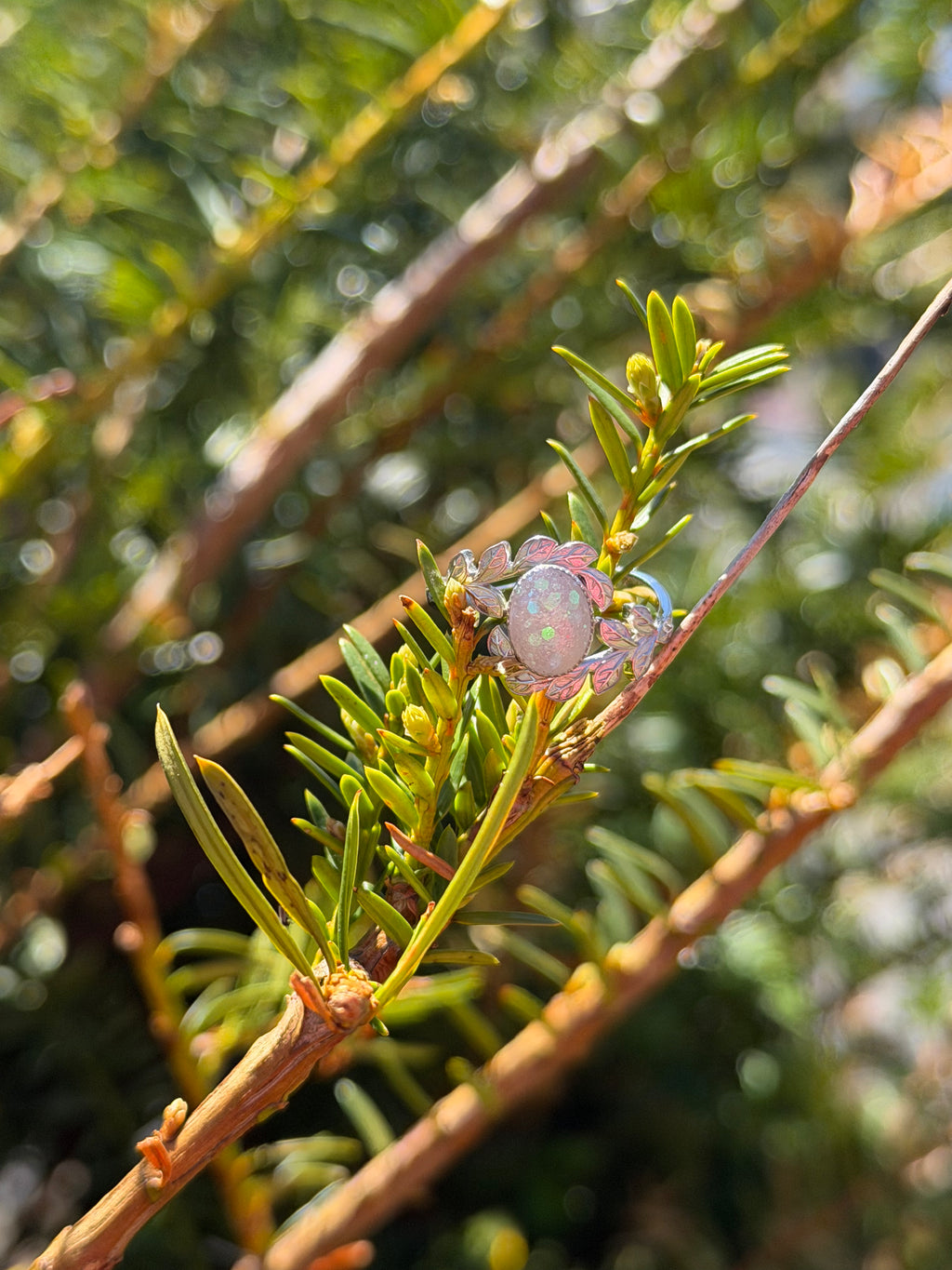 Ivy Ring