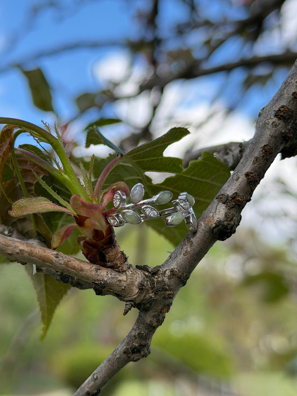 Maple Ring