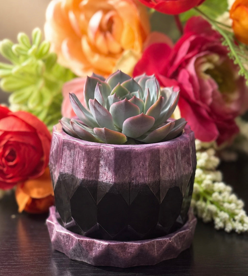 Succulent Plant Pot