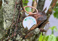 Copper Keychain